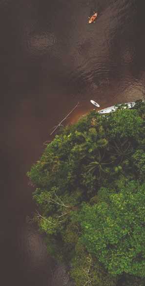 Cuyabeno-Tour-Ragde-Adventures