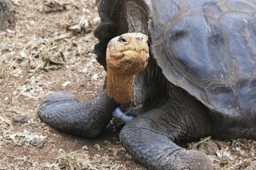 Galapagos-Tour-Ragde-Adventures